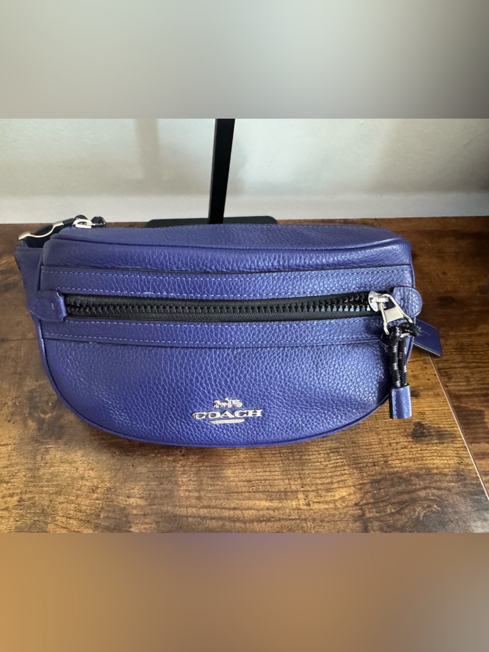 Coach Vale Belt Bag (Style No. 84230 / F84230).